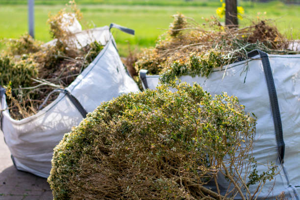 Best Carpet Removal and Disposal  in Lincoln, AL